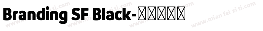 Branding SF Black字体转换